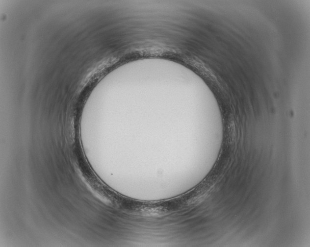 X0000086070638200704202127