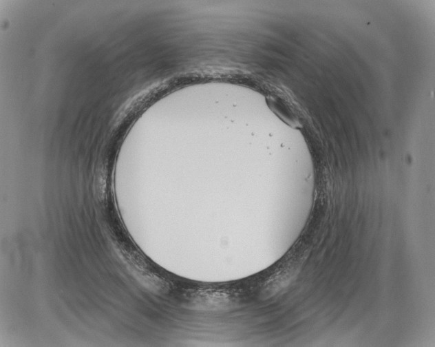 X0000086070640200704202127