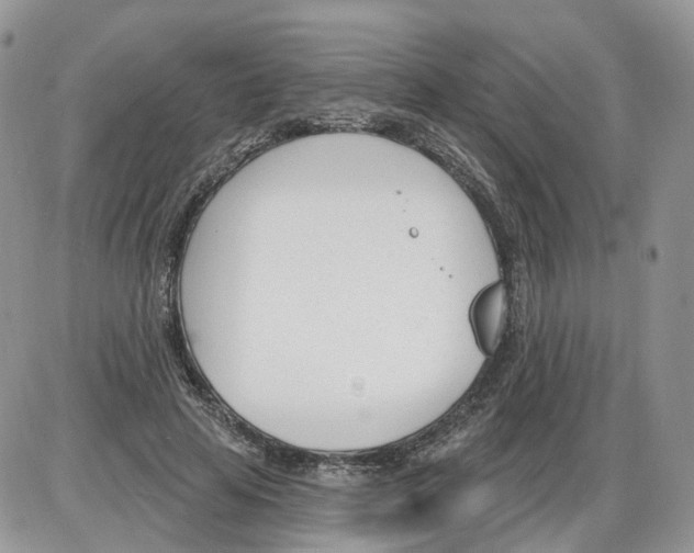 X0000086070641200704202127