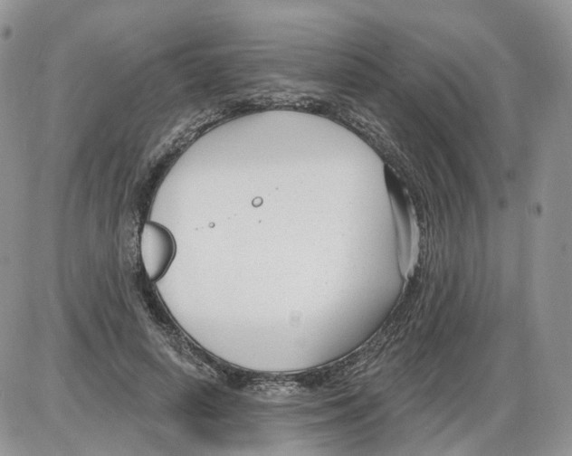 X0000086070642200704202127