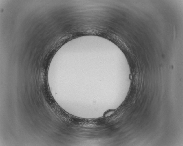 X0000086070643200704202127