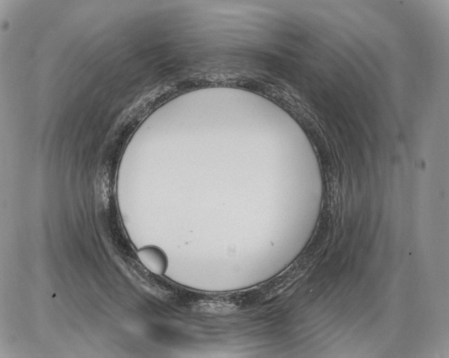 X0000086070644200704202127