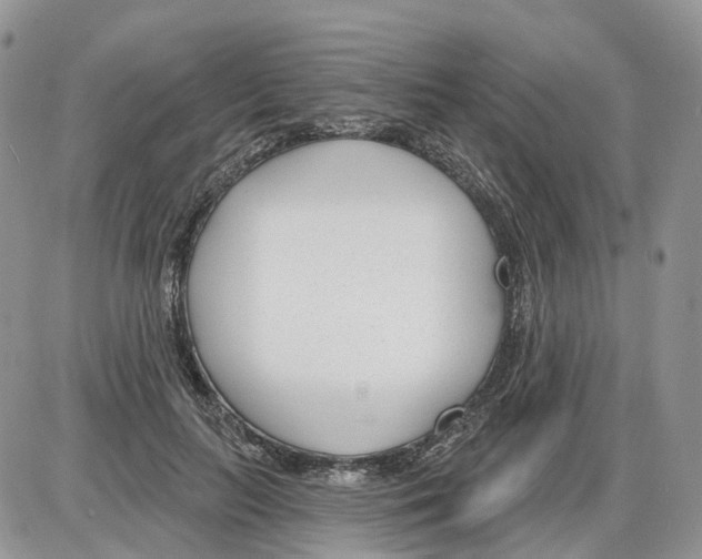 X0000086070647200704202127