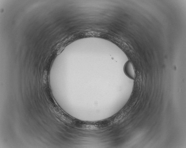 X0000086070649200704202127