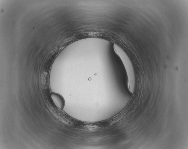 X0000086070650200704202127