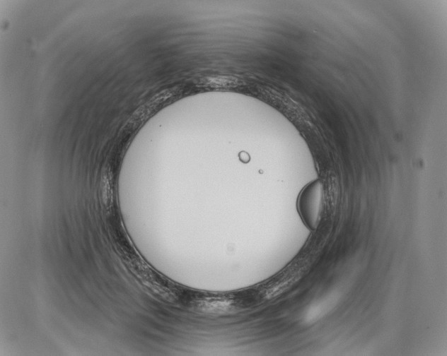 X0000086070651200704202127