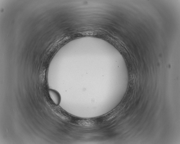 X0000086070652200704202127