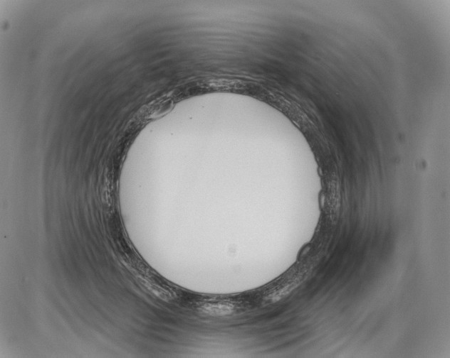 X0000086070653200704202127