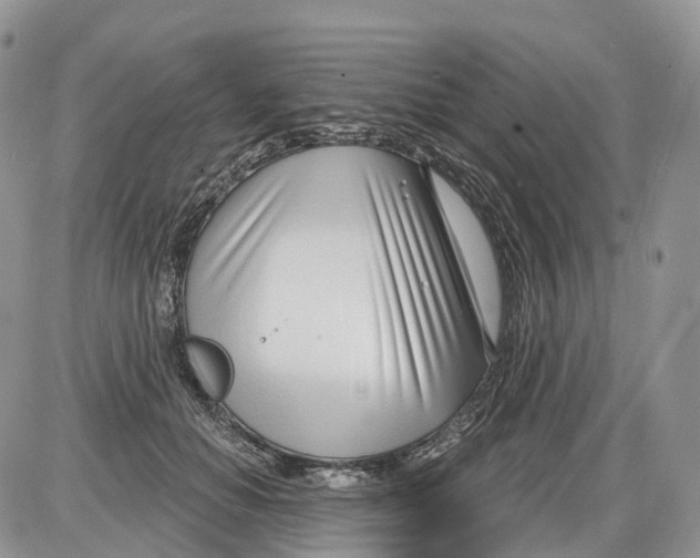 X0000086070654200704202127