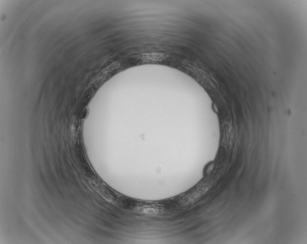 X0000086070655200704202127