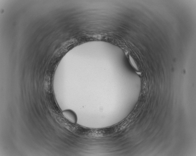 X0000086070656200704202127