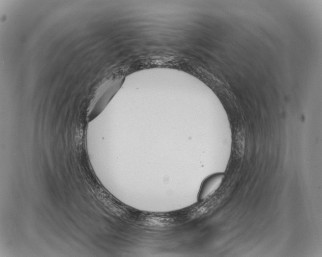 X0000086070657200704202127