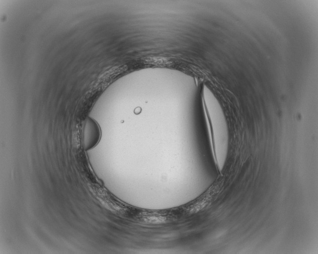 X0000086070658200704202127