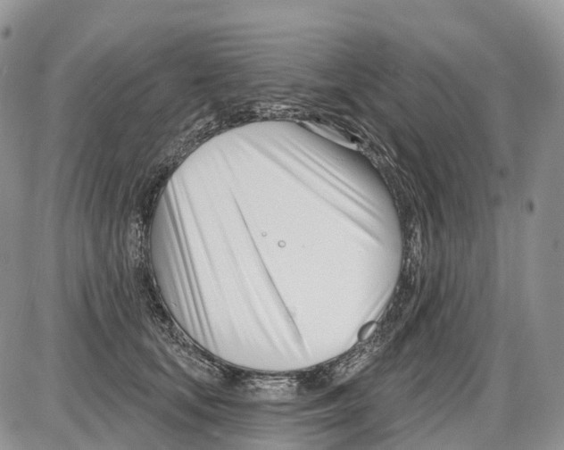 X0000086070659200704202127