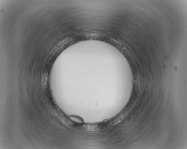 X0000086070660200704202127