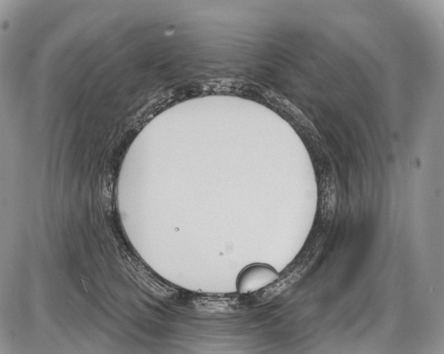 X0000086070661200704202127