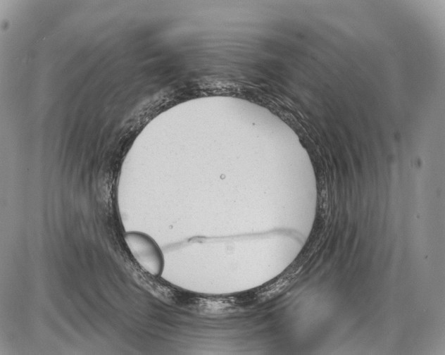 X0000086070662200704202127