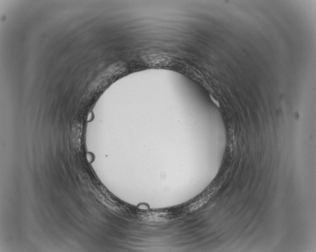 X0000086070664200704202127