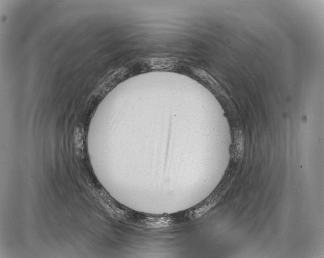 X0000086070667200704202128