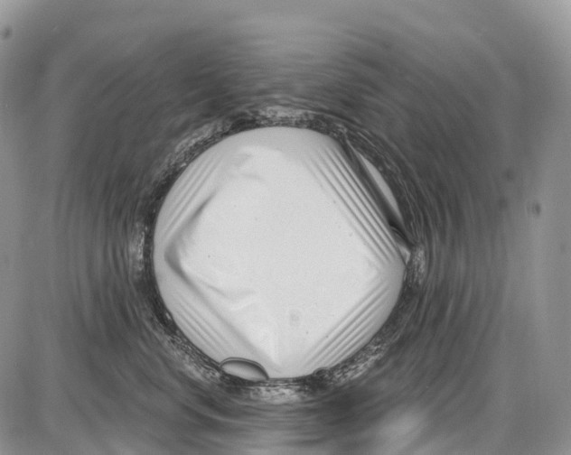 X0000086070668200704202128