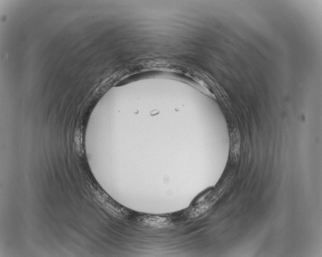 X0000086070669200704202128