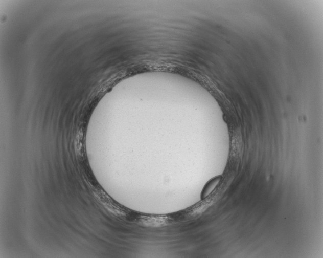 X0000086070671200704202128