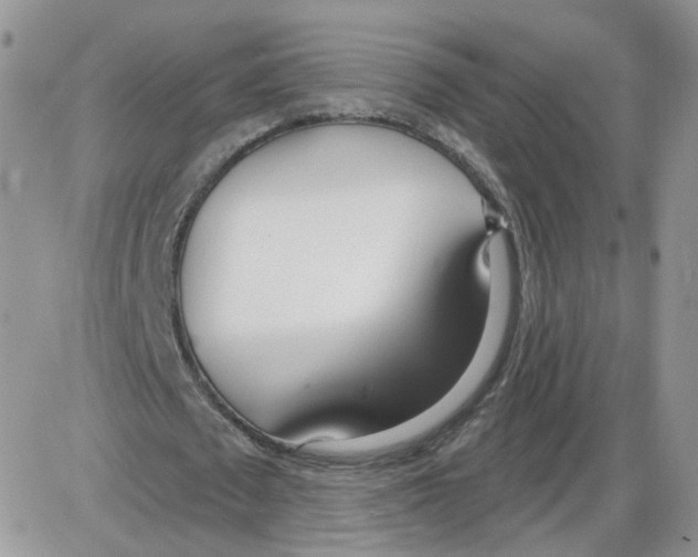 X0000086070673200704202127