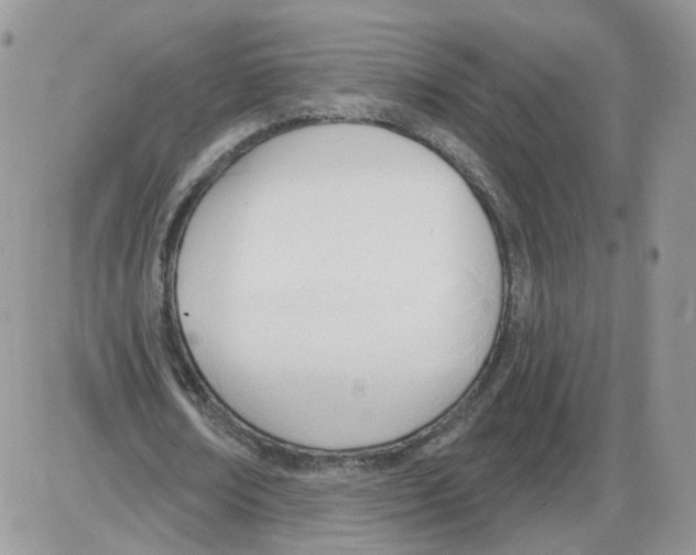 X0000086070674200704202127