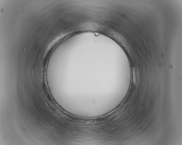 X0000086070675200704202127