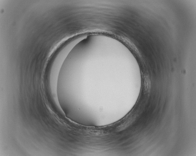 X0000086070676200704202127