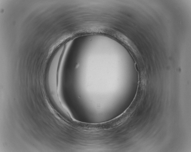 X0000086070677200704202127