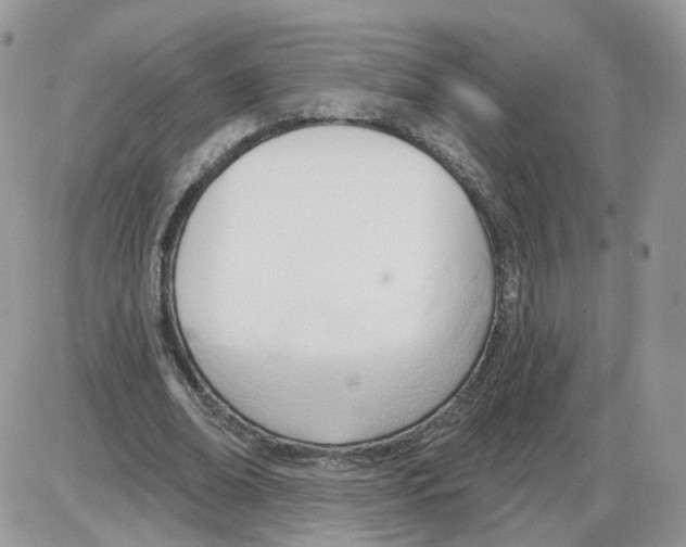 X0000086070678200704202127