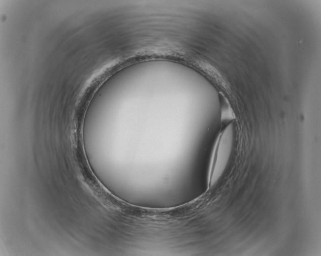 X0000086070680200704202127