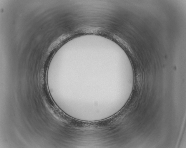 X0000086070682200704202127