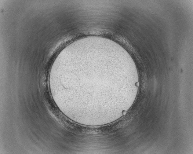 X0000086070683200704202127