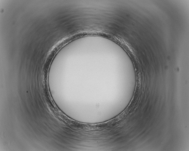 X0000086070684200704202127