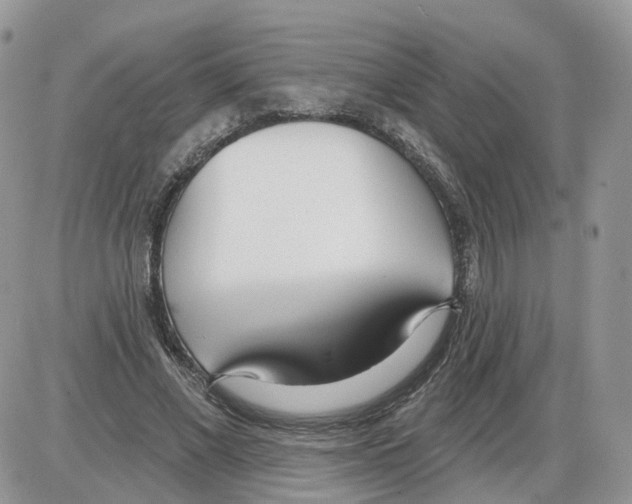 X0000086070685200704202127