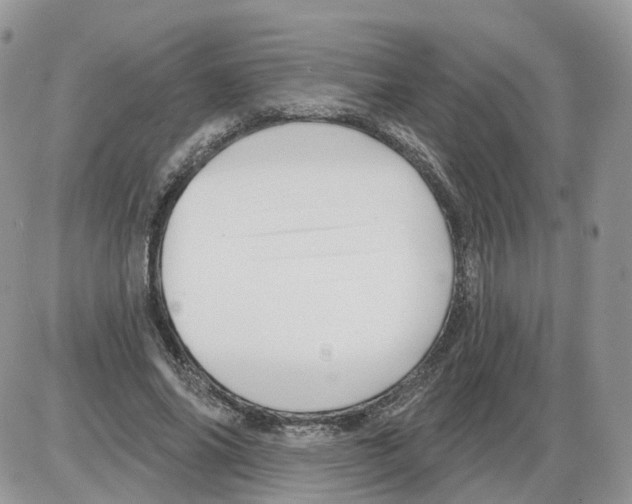 X0000086070686200704202127