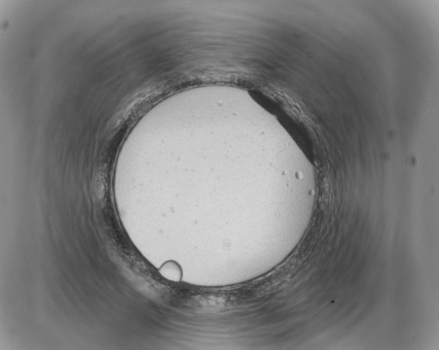 X0000086070687200704202127