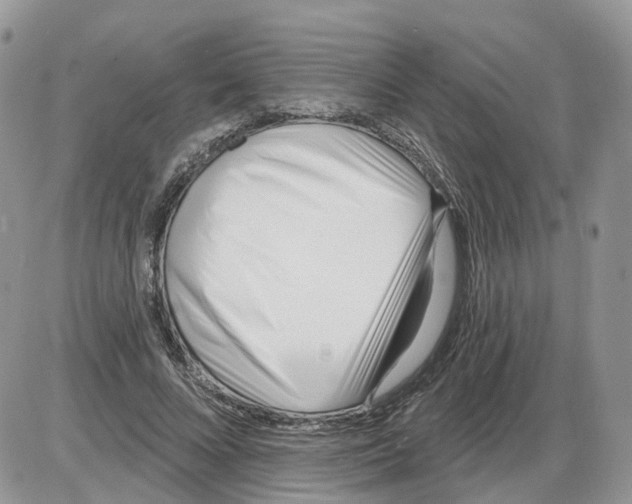 X0000086070688200704202127