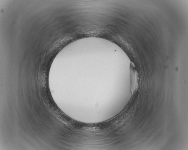 X0000086070689200704202127