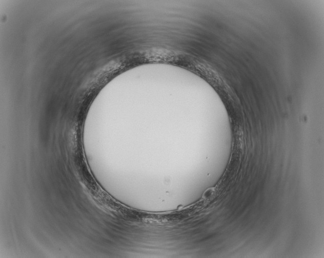 X0000086070690200704202127