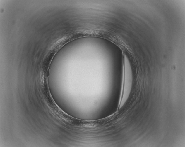 X0000086070692200704202127