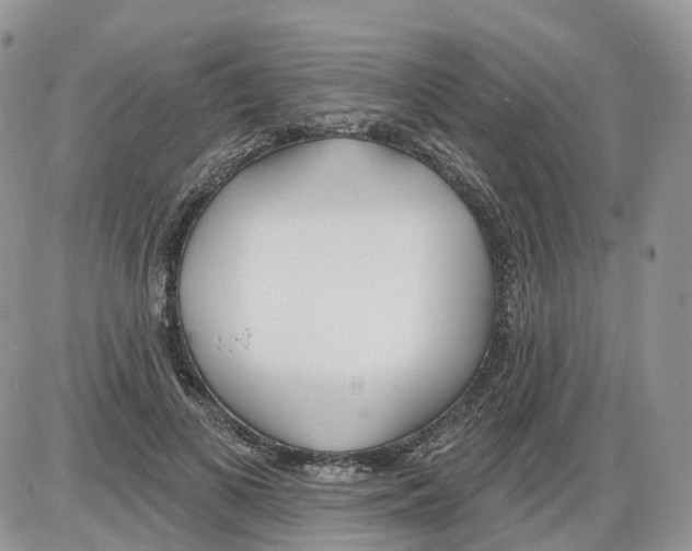 X0000086070693200704202127