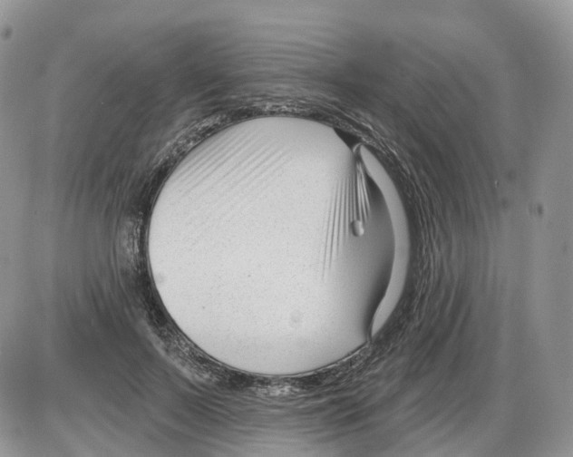 X0000086070695200704202126