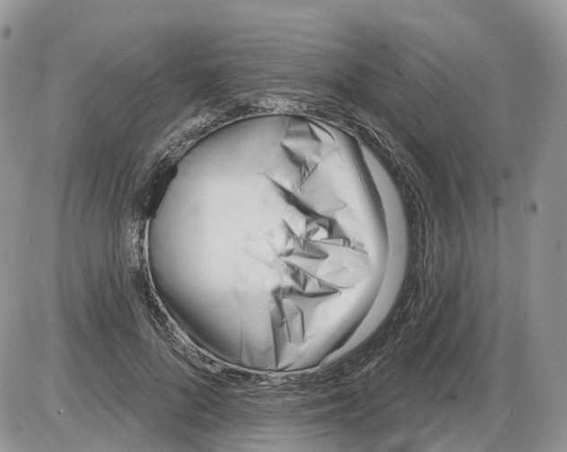 X0000086070696200704202126