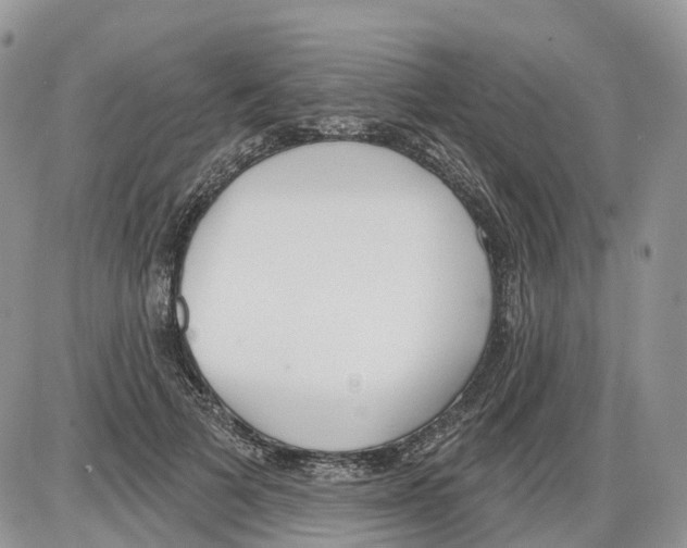 X0000086070697200704202126