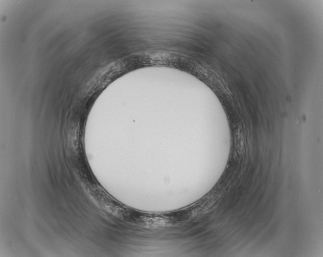 X0000086070698200704202126