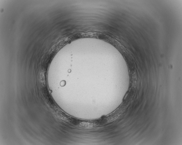 X0000086070699200704202126