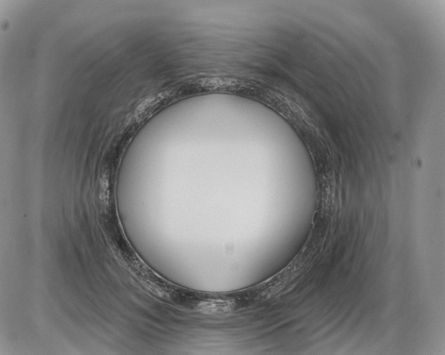 X0000086070700200704202126